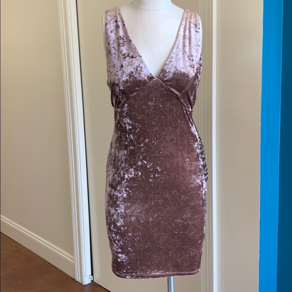 NWT Crushed Velvet Dress